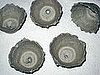 Egg Crates with Holes Cut in the Bottom