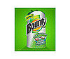 Paper Towel Rolls