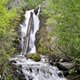 amynick3's picture