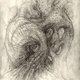 white rabbit's picture