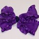dawnglass1's picture