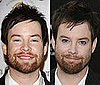 David Cook