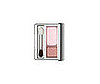 Clinique Pair of Shades Eye Shadow