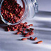 Beans