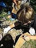 Crime Scene Investigation 