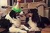Party Pals Pucker Up 