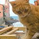 gatara's picture