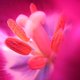 kastarte2's picture