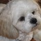 lildorothyparker's picture