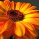 JJones10's picture