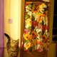 openfan's picture