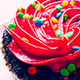 dani19's picture