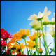 tammy k's picture