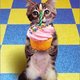 Shoe Diva's picture