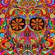 casango88's picture