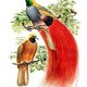 kokgitusih's picture