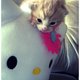 cupcakefeen's picture