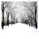 Nowy's picture