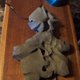 stinkspot's picture