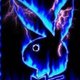 qaisxxx's picture