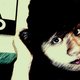 xbeanie's picture