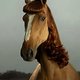 Gudrun72's picture