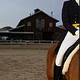 Dressage Queen's picture