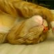 superlu's picture
