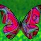 Butterflytes's picture