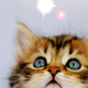 crazychica's picture