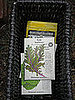 Seeds Are Cheapest