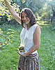 Take Advantage of Fruit Trees