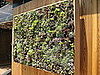 A Green Wall