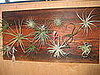 Framed Air Plants