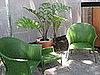 More Outdoor Spaces