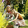 Clean Up Your Landscaping ($150)
