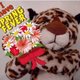 Leopardcc's picture