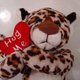 Leopardcc's picture