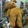 vanthio's picture