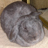 kittyhawk's picture