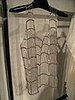IMG_0500.JPG