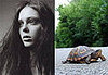 Coco-Turtle