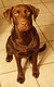 bluenude3's picture