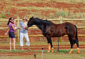 16148pcn_Garner01