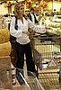 mr_fp_151488