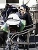 mr_fp_156128-1