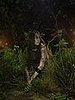 TM904_P005_HEK.jpg-02dad008-t3