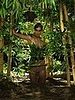 TM904_P008_LIS.jpg-0079044f-t3