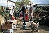 71209J7_OCONNELL_J_B_GR_14