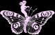 Butrfly4404's picture